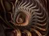 fractal_051