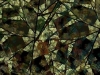 fractal_055