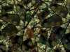 fractal_055