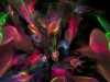 fractal_077