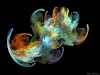 fractal_105