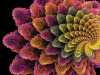 fractal-001
