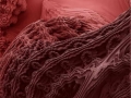 fractal_017