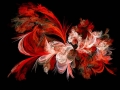 fractal_102