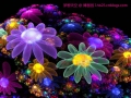 fractal_113