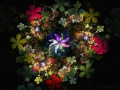 fractal_126