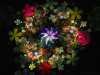 fractal_126