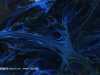 fractal_131