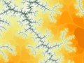 autumn-tree