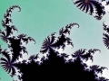 julia-22