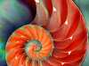 fractal_119