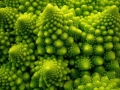 fractal_127