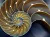 fractal_133