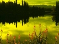 fractal_139