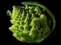 fractal_32