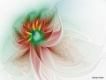 attractor-026