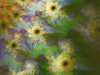 attractor-037