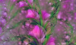 attractor-036
