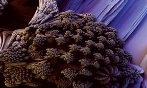 3dFractal046