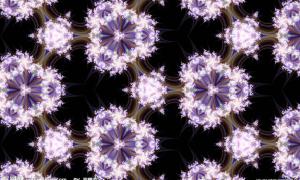 fractal_156
