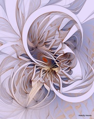 attractor-032